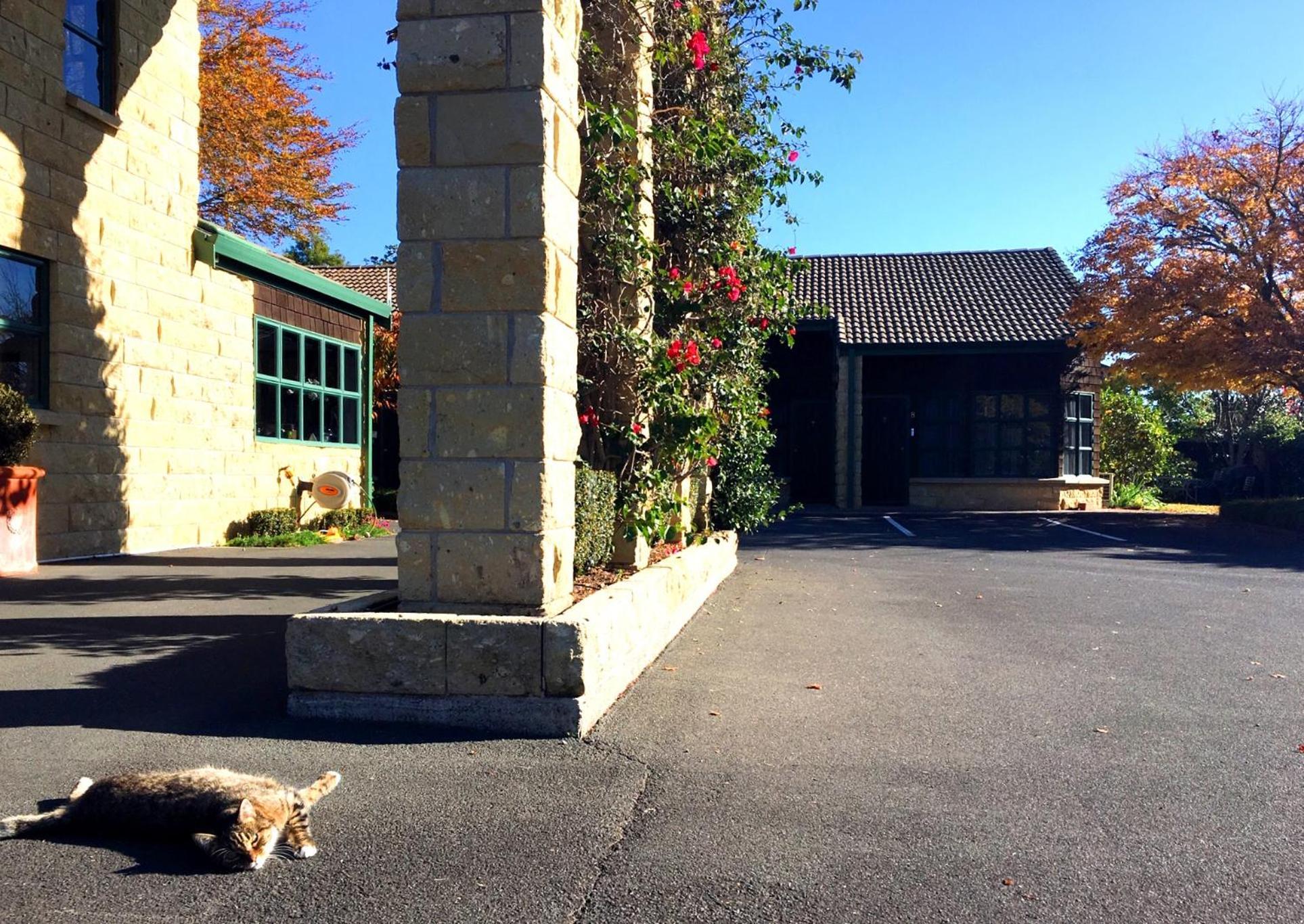 Cambridge Mews Motel Zewnętrze zdjęcie