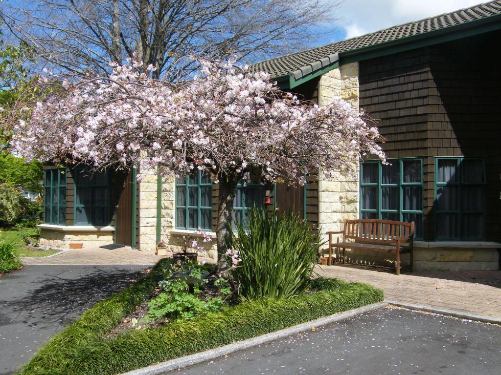 Cambridge Mews Motel Zewnętrze zdjęcie