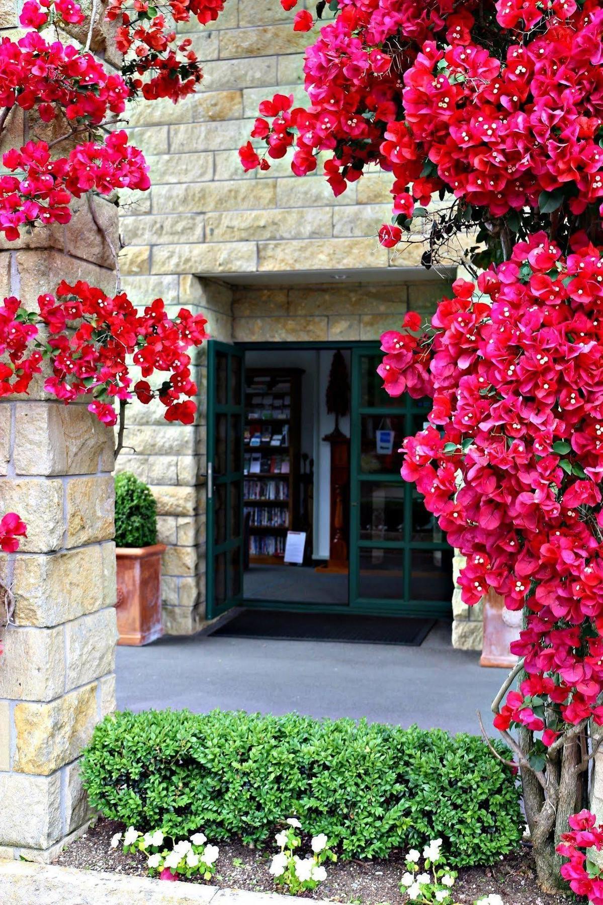 Cambridge Mews Motel Zewnętrze zdjęcie